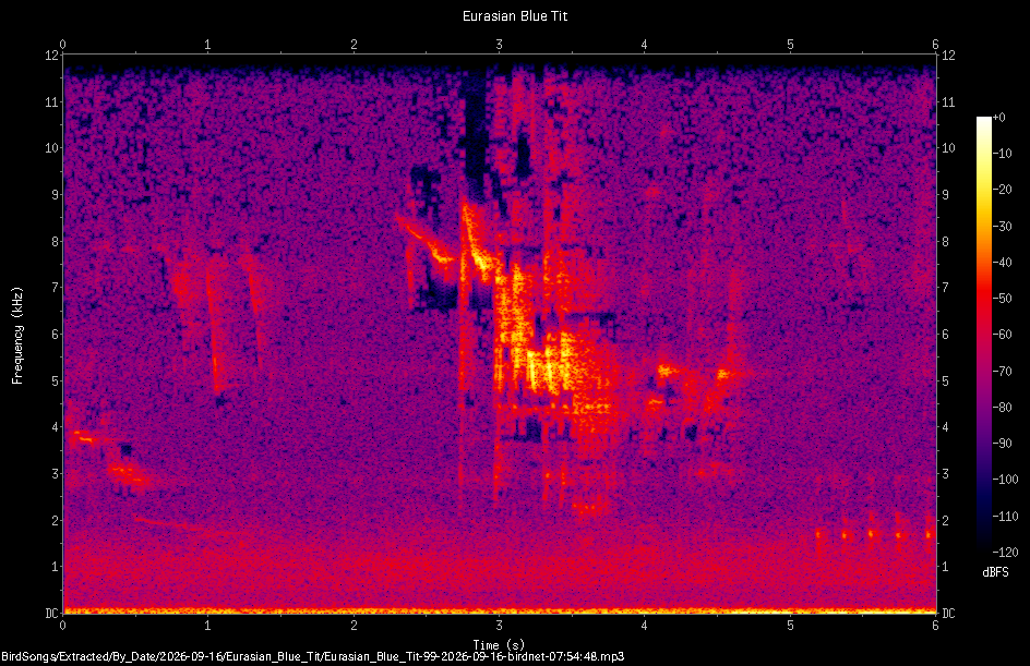 Spectrogram of a Eurasian Blue Tit recorded at 07:54:48