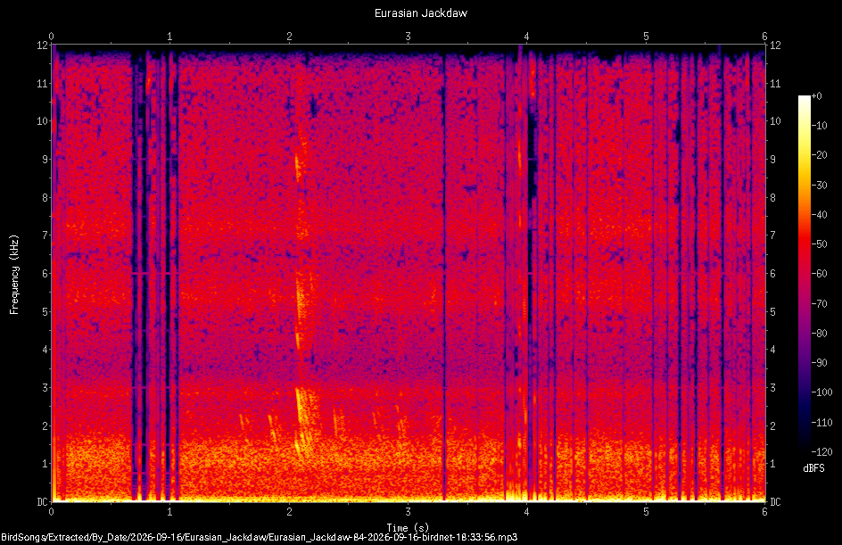 Spectrogram of a Eurasian Jackdaw recorded at 18:33:56