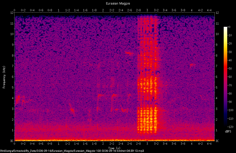 Spectrogram of a Eurasian Magpie recorded at 08:39:13