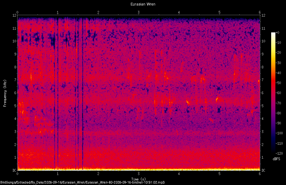 Spectrogram of a Eurasian Wren recorded at 10:51:02