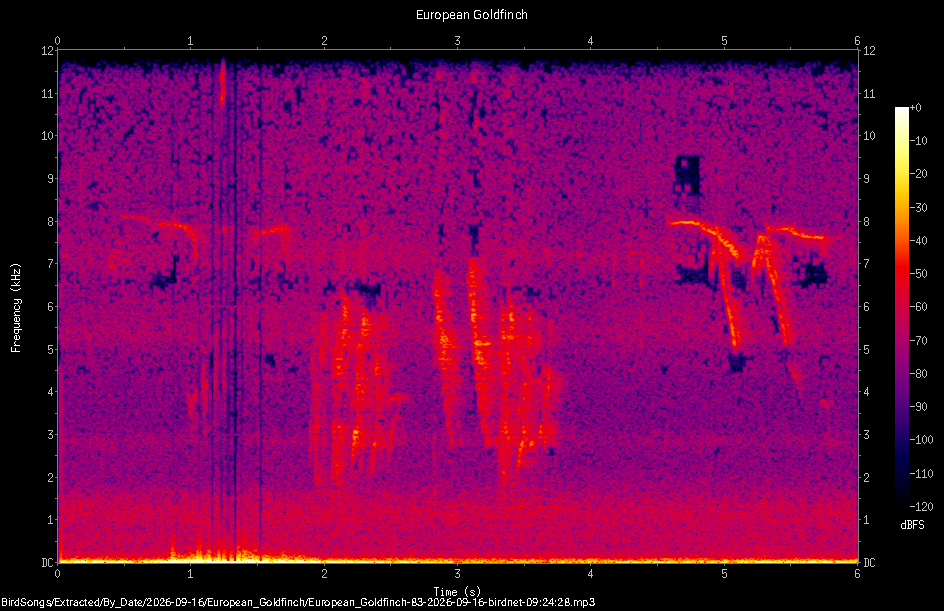 Spectrogram of a European Goldfinch recorded at 09:24:28