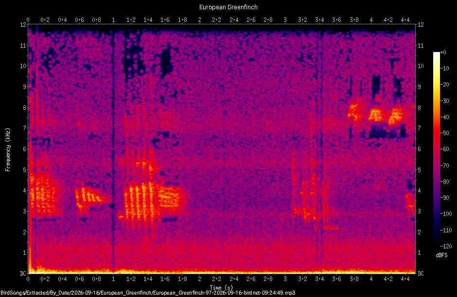 Spectrogram of a European Greenfinch recorded at 09:24:49