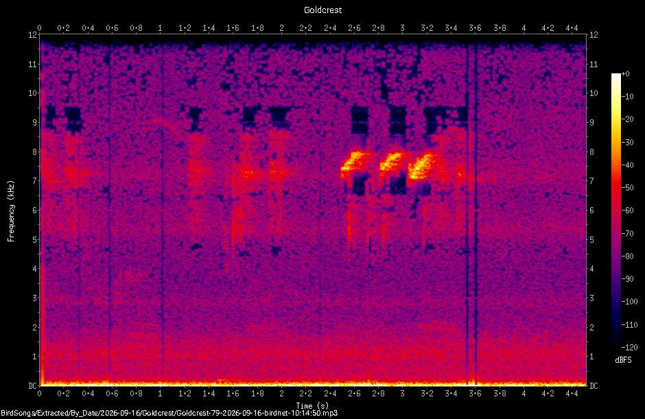 Spectrogram of a Goldcrest recorded at 10:14:50