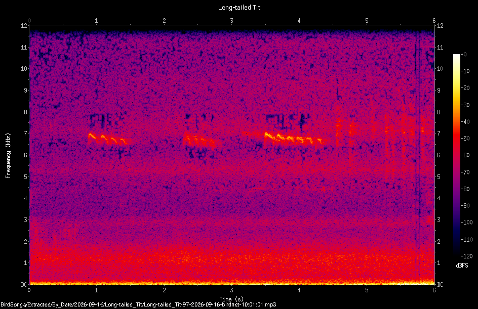 Spectrogram of a Long-tailed Tit recorded at 10:01:01