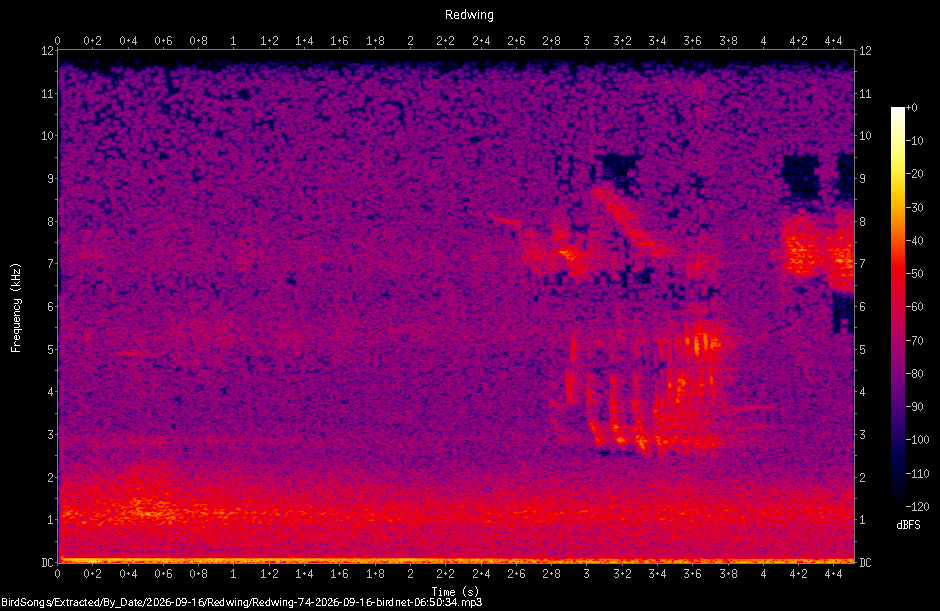 Spectrogram of a Redwing recorded at 06:50:34