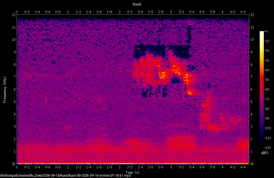 Spectrogram of a Rook recorded at 07:16:51