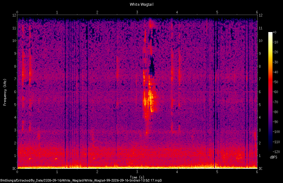 Spectrogram of a White Wagtail recorded at 10:52:17