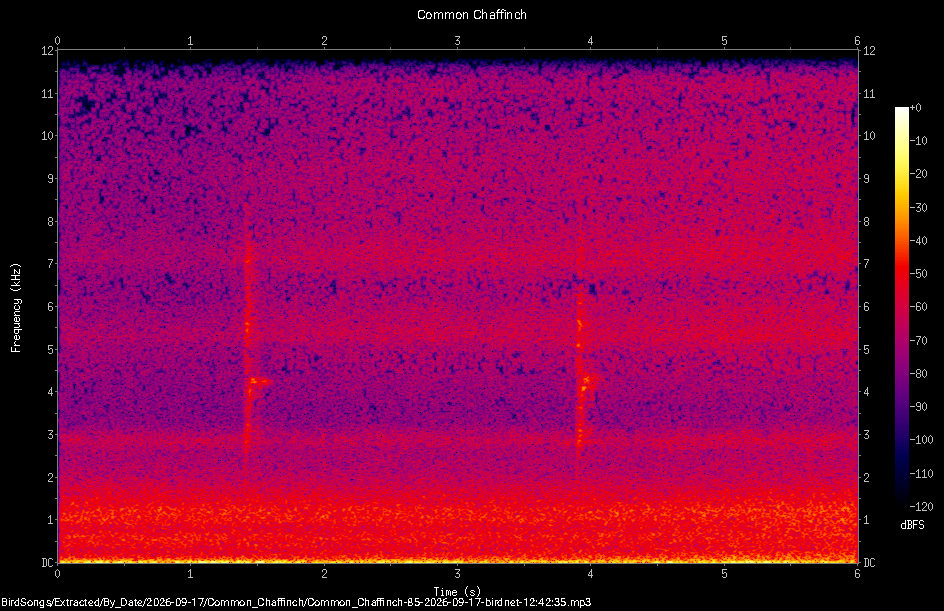 Spectrogram of a Common Chaffinch recorded at 12:42:35