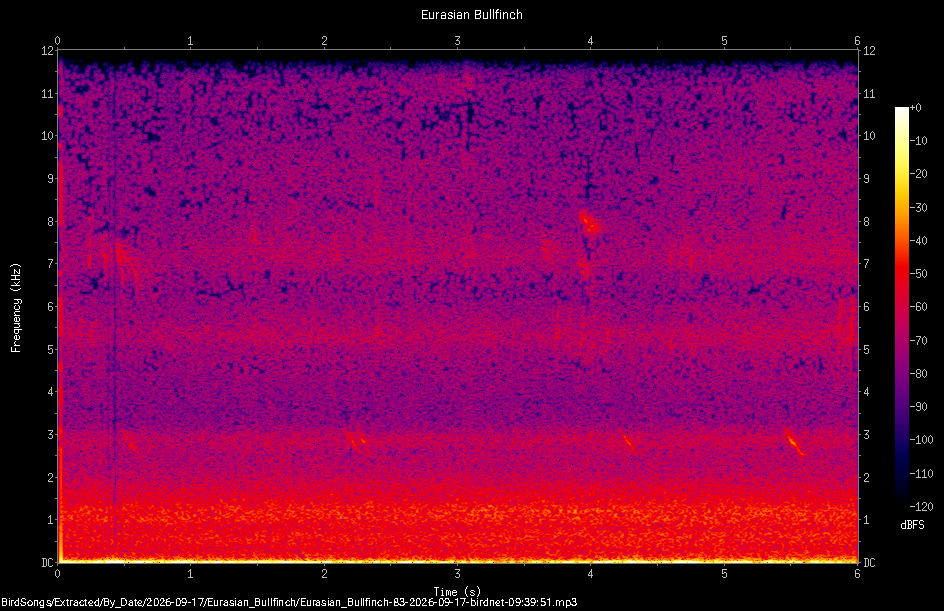 Spectrogram of a Eurasian Bullfinch recorded at 09:39:51