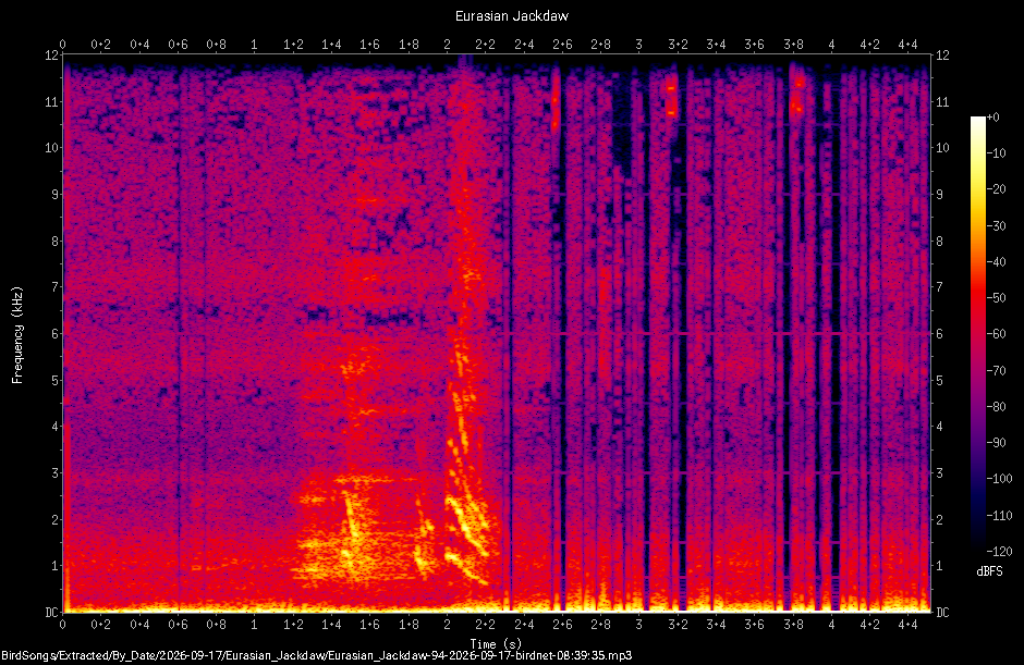 Spectrogram of a Eurasian Jackdaw recorded at 08:39:35