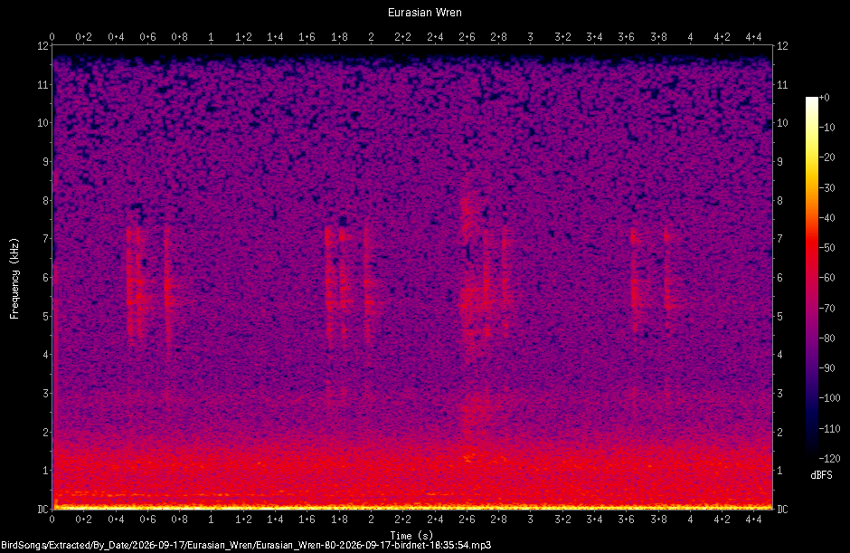 Spectrogram of a Eurasian Wren recorded at 18:35:54