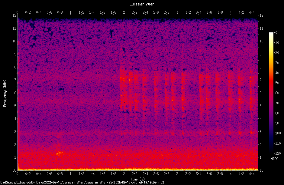Spectrogram of a Eurasian Wren recorded at 19:18:09