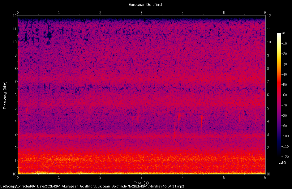 Spectrogram of a European Goldfinch recorded at 16:04:21