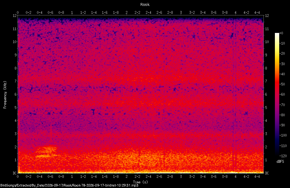 Spectrogram of a Rook recorded at 10:29:31