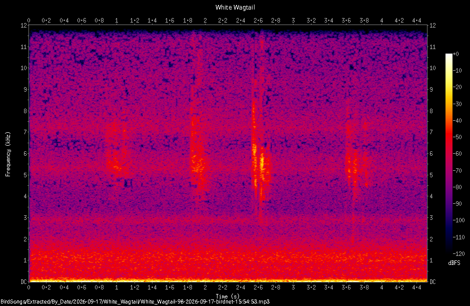 Spectrogram of a White Wagtail recorded at 15:54:53