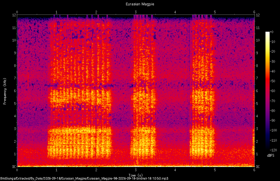 Spectrogram of a Eurasian Magpie recorded at 18:10:50