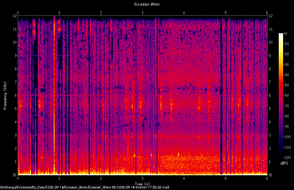 Spectrogram of a Eurasian Wren recorded at 17:35:50