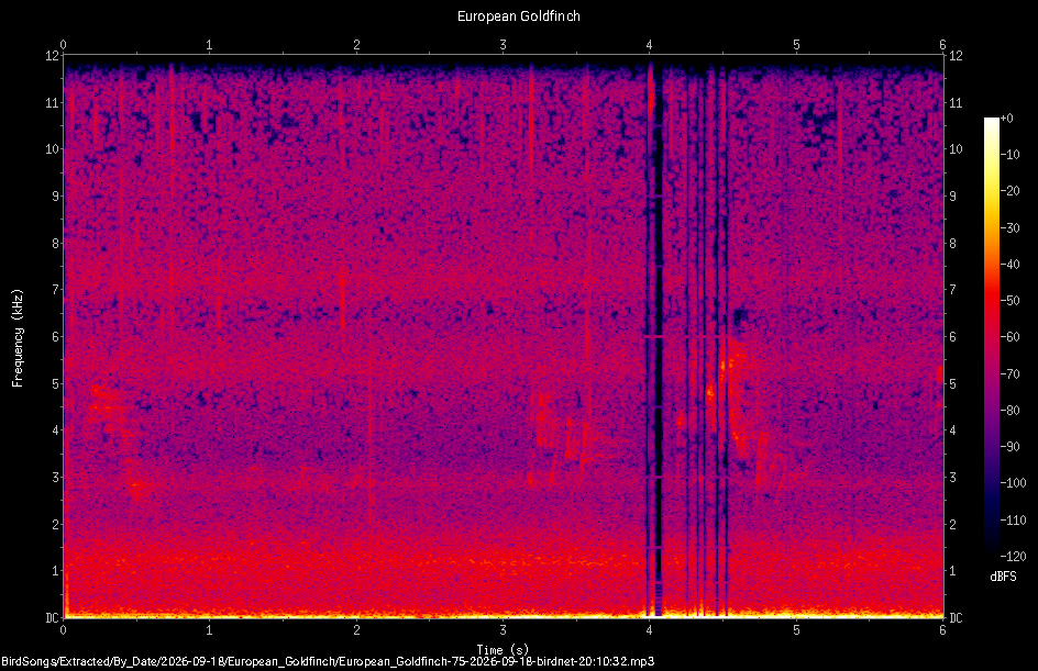Spectrogram of a European Goldfinch recorded at 20:10:32