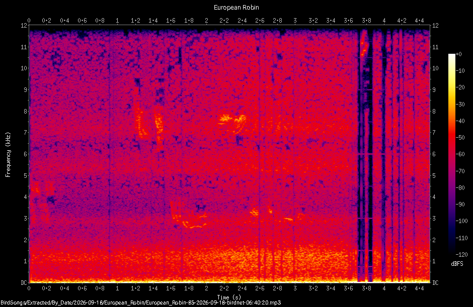 Spectrogram of a European Robin recorded at 06:40:20