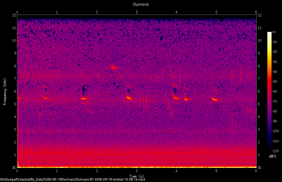 Spectrogram of a Dunnock recorded at 10:08:16