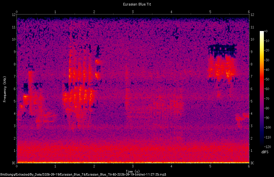 Spectrogram of a Eurasian Blue Tit recorded at 11:27:25