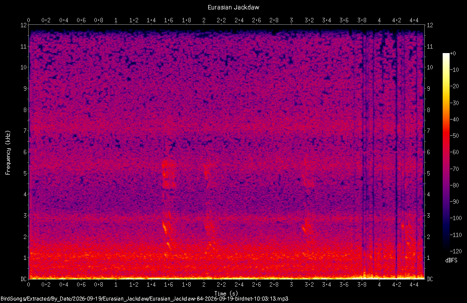 Spectrogram of a Eurasian Jackdaw recorded at 10:03:13