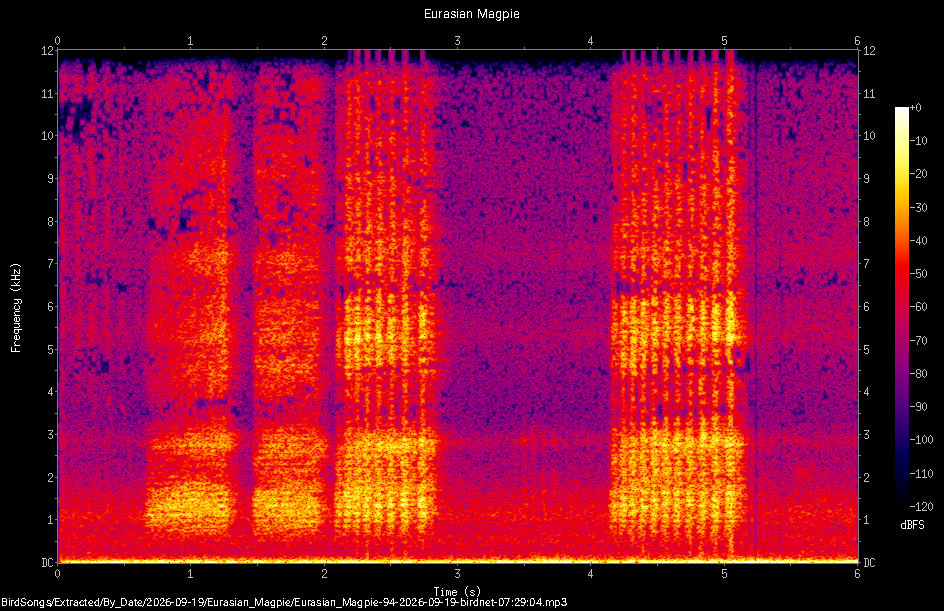 Spectrogram of a Eurasian Magpie recorded at 07:29:04