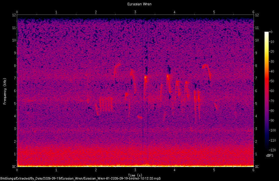 Spectrogram of a Eurasian Wren recorded at 10:12:20