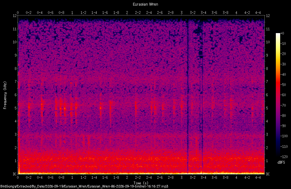 Spectrogram of a Eurasian Wren recorded at 16:16:27