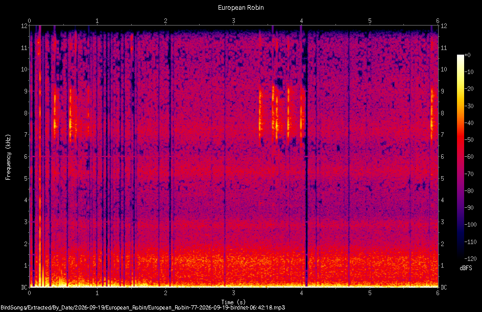 Spectrogram of a European Robin recorded at 06:42:18