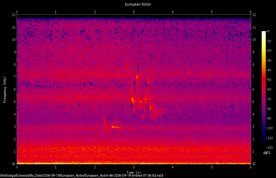 Spectrogram of a European Robin recorded at 07:06:53