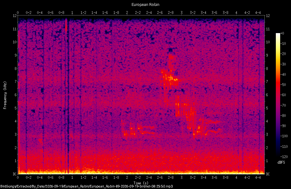 Spectrogram of a European Robin recorded at 08:25:50