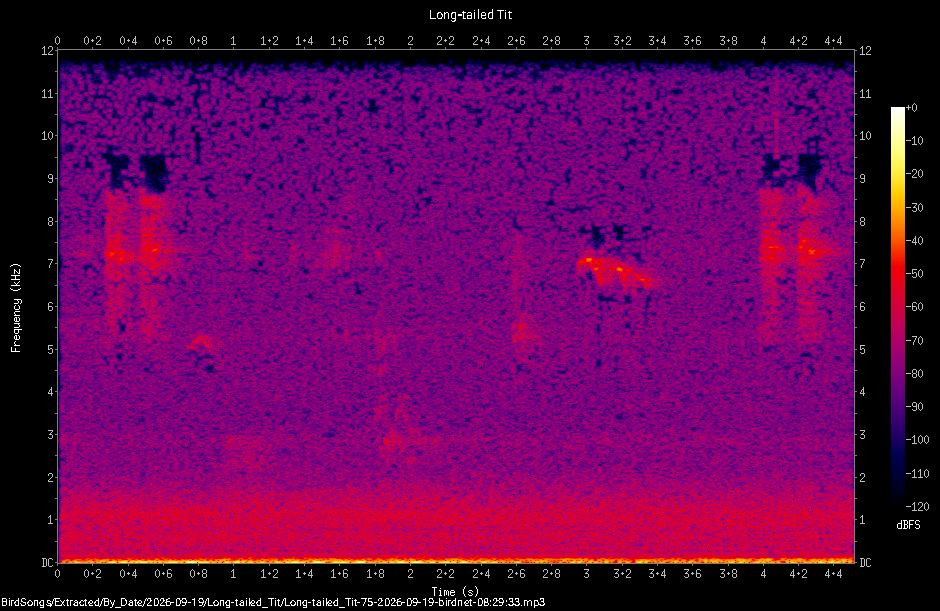 Spectrogram of a Long-tailed Tit recorded at 08:29:33