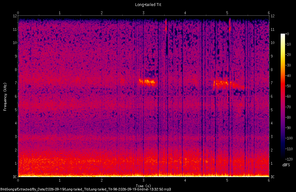Spectrogram of a Long-tailed Tit recorded at 13:32:50