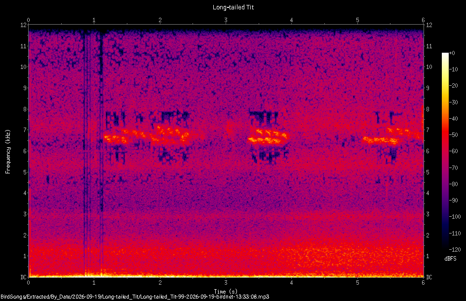 Spectrogram of a Long-tailed Tit recorded at 13:33:08