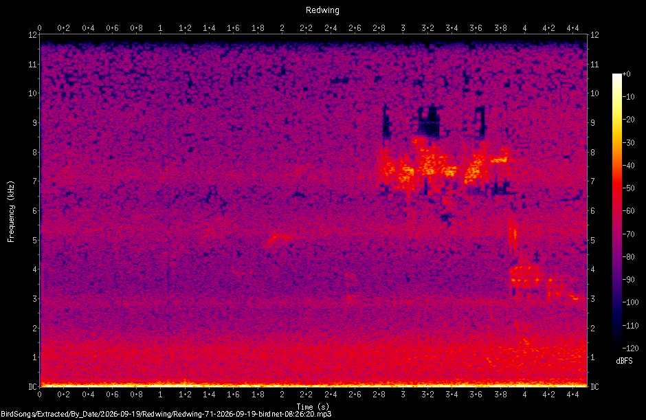 Spectrogram of a Redwing recorded at 08:26:20