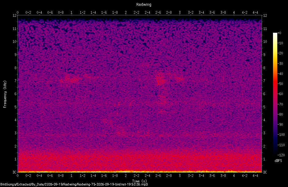 Spectrogram of a Redwing recorded at 19:52:26