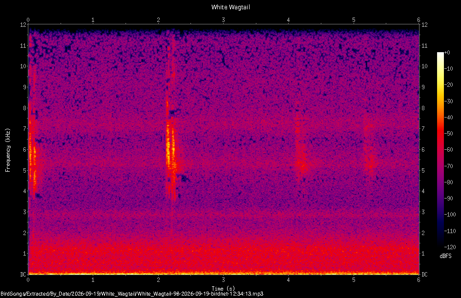 Spectrogram of a White Wagtail recorded at 12:34:13