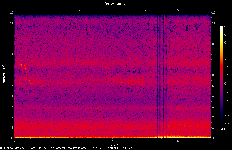 Spectrogram of a Yellowhammer recorded at 11:29:41