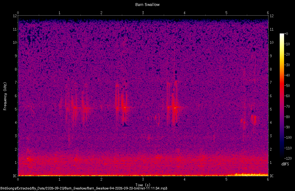 Spectrogram of a Barn Swallow recorded at 11:11:34