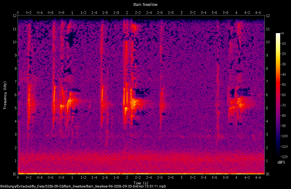 Spectrogram of a Barn Swallow recorded at 12:01:11