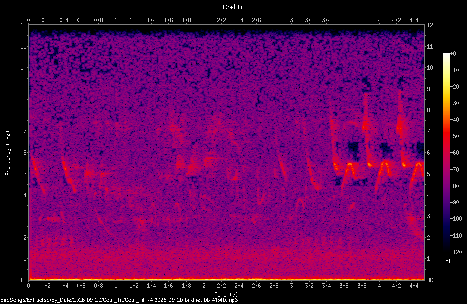 Spectrogram of a Coal Tit recorded at 08:41:40