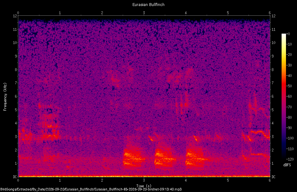 Spectrogram of a Eurasian Bullfinch recorded at 09:13:40
