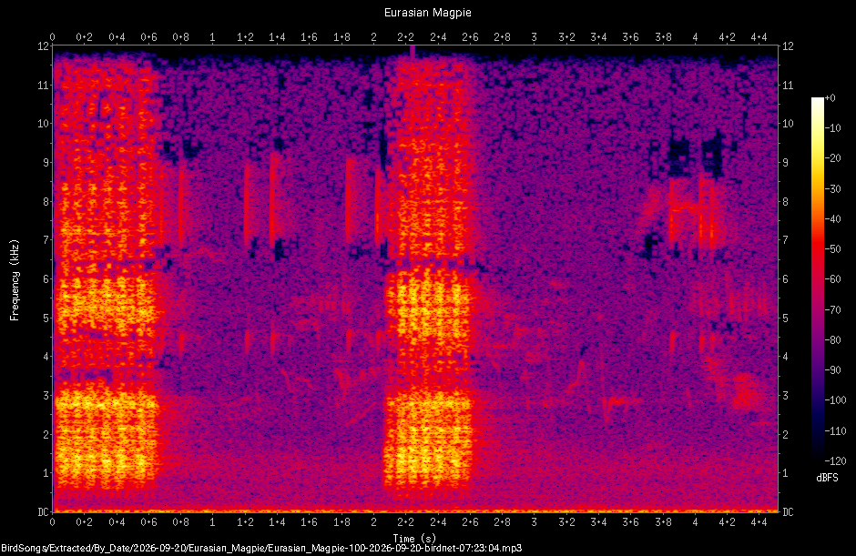 Spectrogram of a Eurasian Magpie recorded at 07:23:04