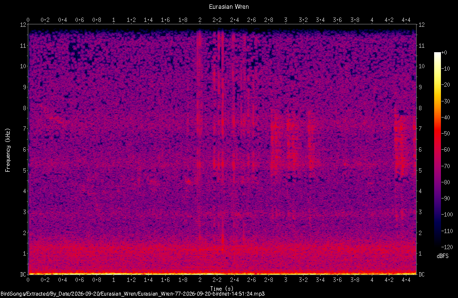 Spectrogram of a Eurasian Wren recorded at 14:51:24