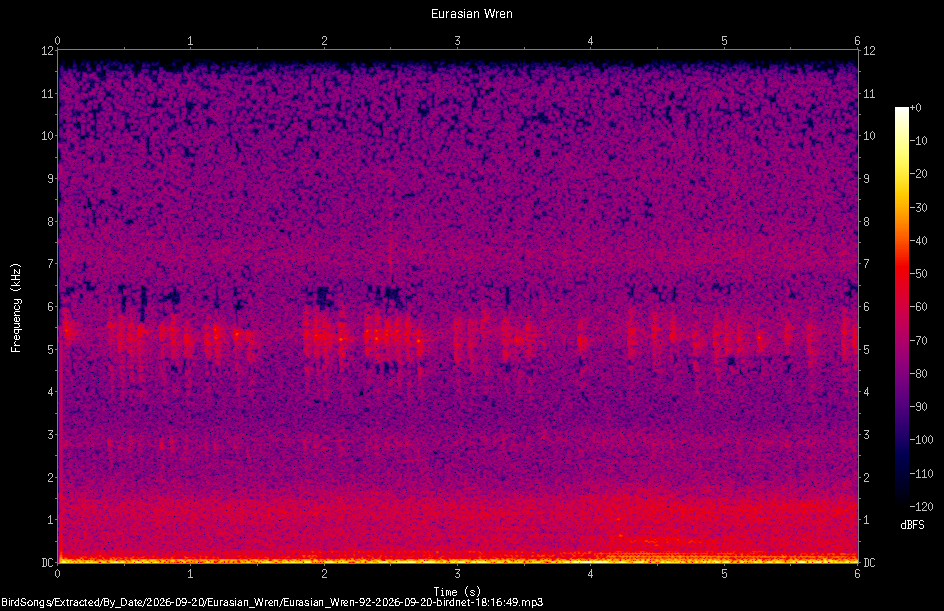 Spectrogram of a Eurasian Wren recorded at 18:16:49
