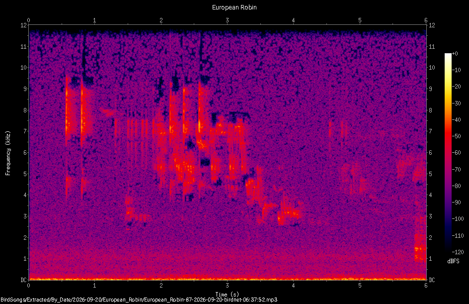 Spectrogram of a European Robin recorded at 06:37:52