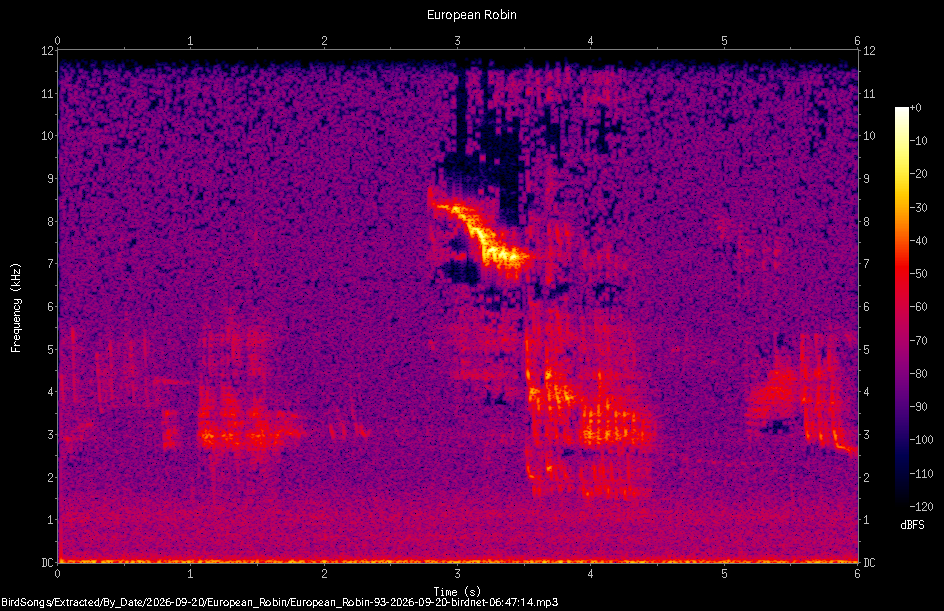 Spectrogram of a European Robin recorded at 06:47:14