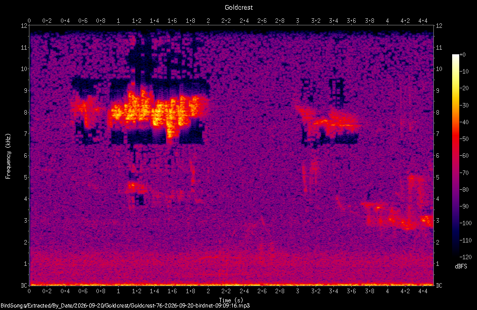 Spectrogram of a Goldcrest recorded at 09:09:16