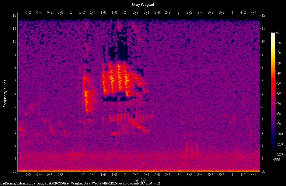 Spectrogram of a Gray Wagtail recorded at 09:12:01